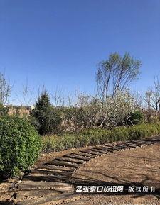 张家口公园爆料视频,揭秘公园里的惊人秘密  第2张