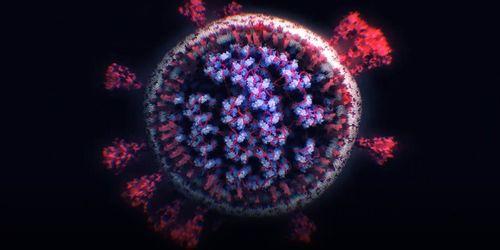 新冠源头爆料最新,最新爆料揭示病毒起源之谜 第3张 新冠源头爆料最新,最新爆料揭示病毒起源之谜 第3张