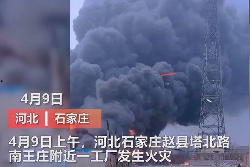 沧州爆料媒体曝光事件视频  第1张