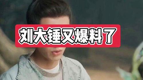 娱乐爆料大锤视频播放网站,热门视频网站背后的秘密  第2张